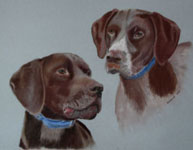 Pair of German Pointers