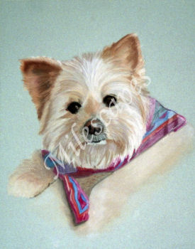 Dori Portrait