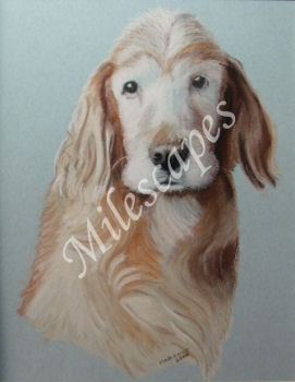 Wally Portrait